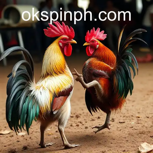 The Controversial World of Cockfighting and the Rise of OKSpin PH